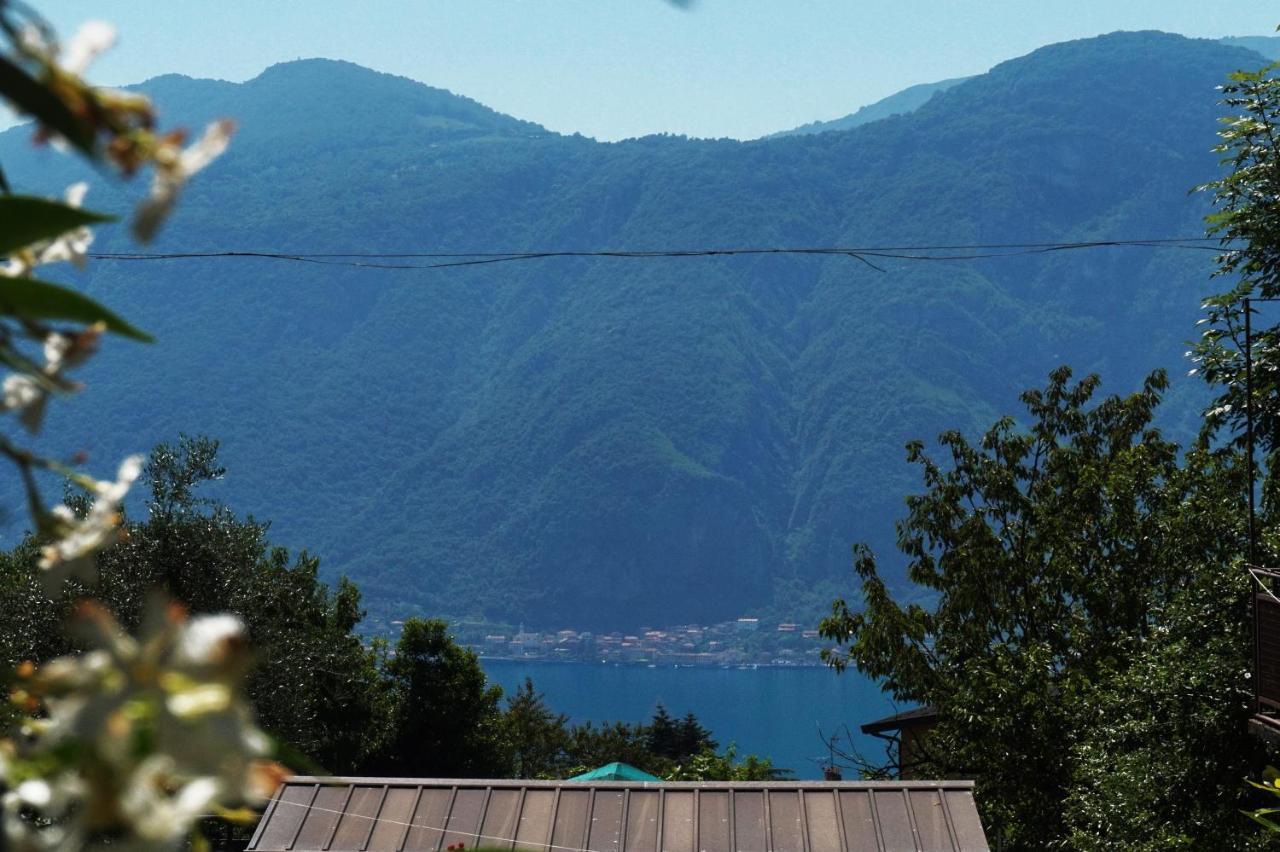 La Dimora Del Viandante - Como Lake Mandello del Lario Dış mekan fotoğraf